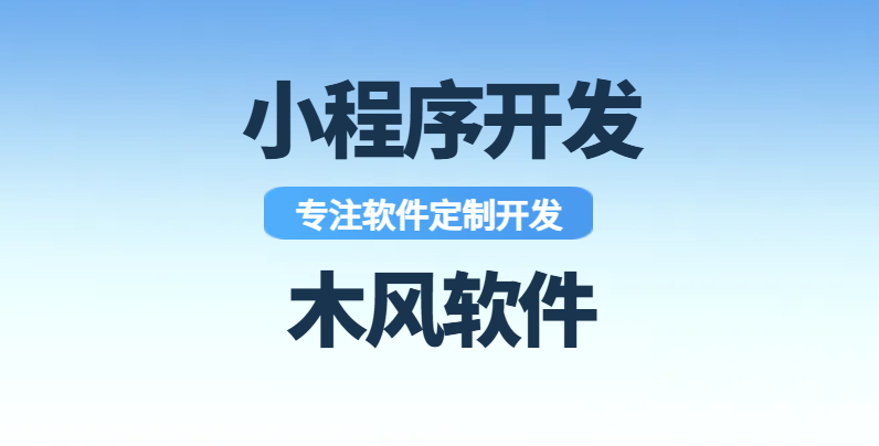 2026 成都技术硬核软件开发 TOP5 小程序开发实力榜